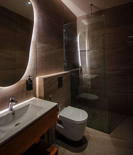 Ambient lighted Powder Room with Shower